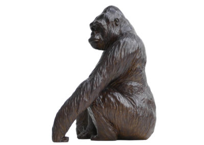 Le gorille Thalès