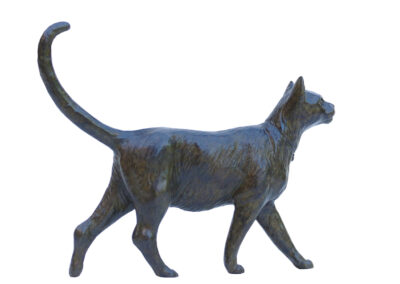 Chat marchant