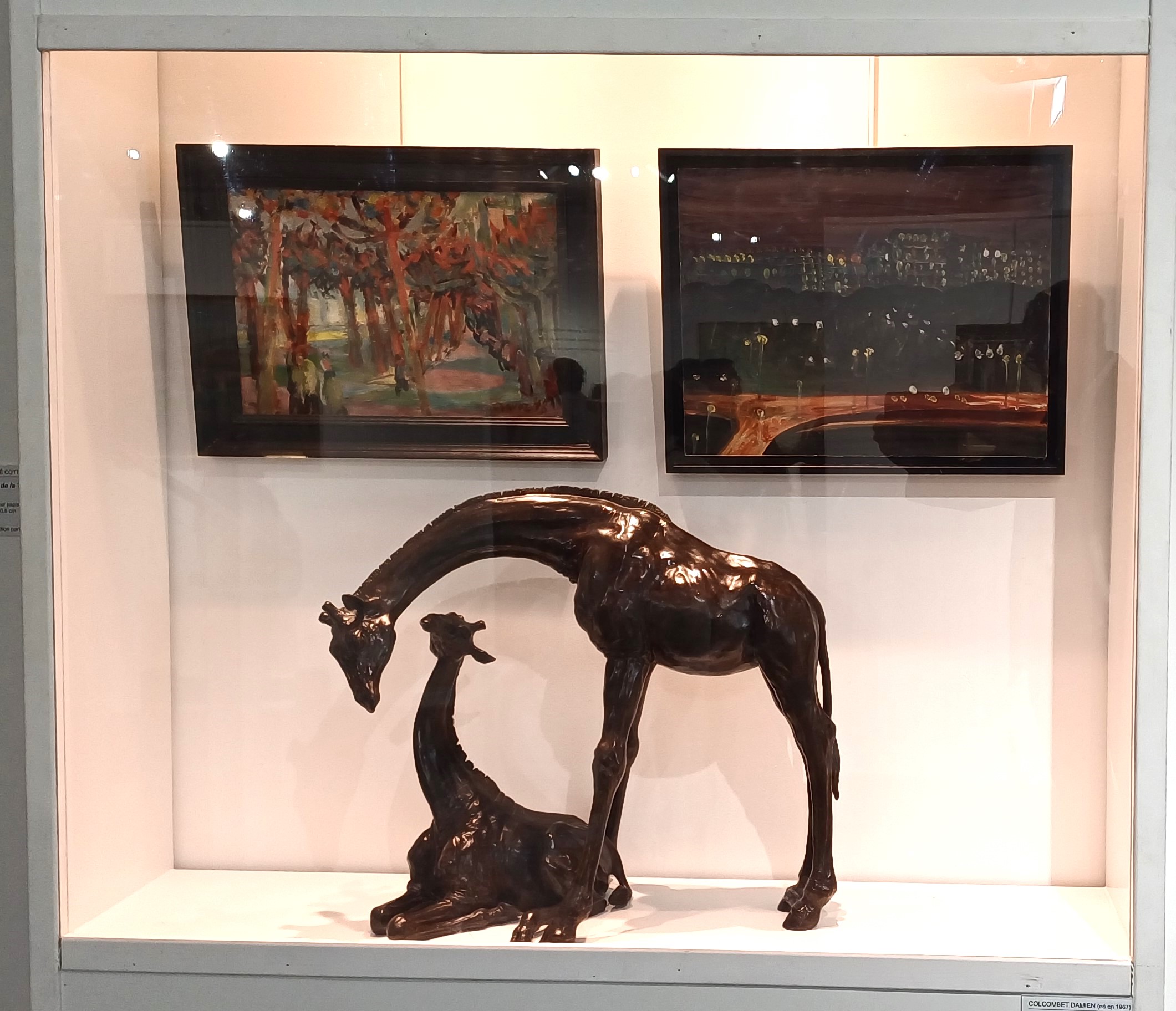 Expo Lyon musée Couty 2025