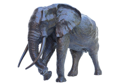 Troisième éléphant d’Afrique