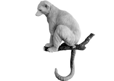 Lémurien dans l’arbre (Projet)