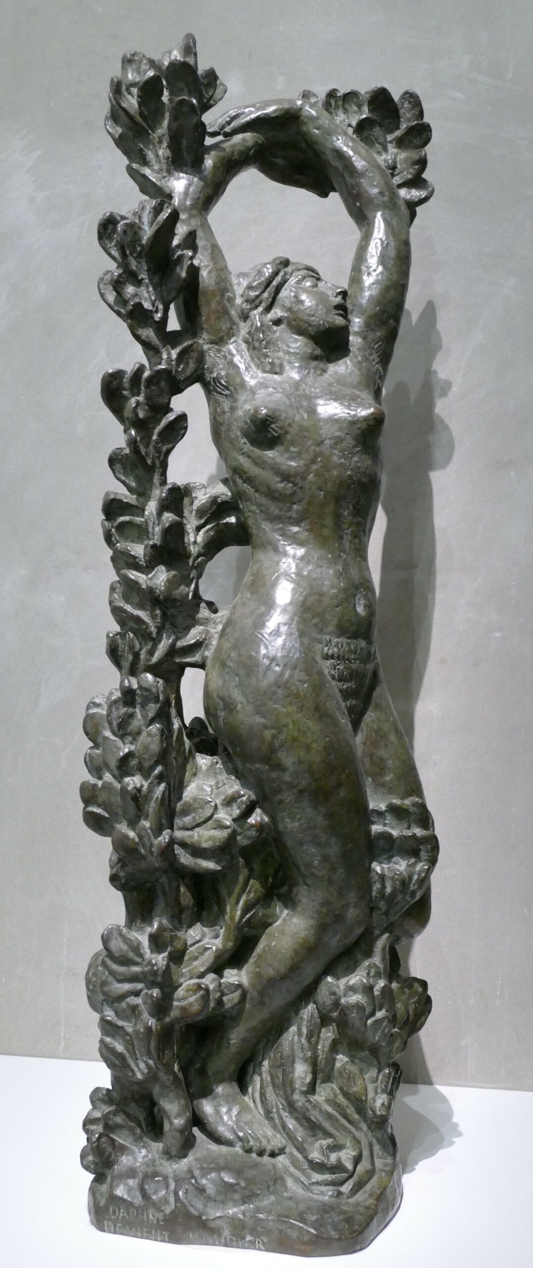 Musée Bourdelle Daphné devient laurier