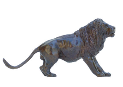 Petit lion prêt à bondir