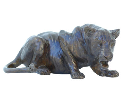 Petite lionne couchée tête tournée à droite