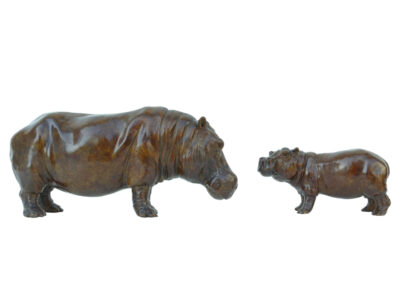 Hippopotame et son petit debout