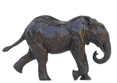 Deuxième éléphant d’Afrique