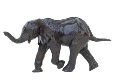 Quatrième éléphant d’Afrique (éléphanteau)