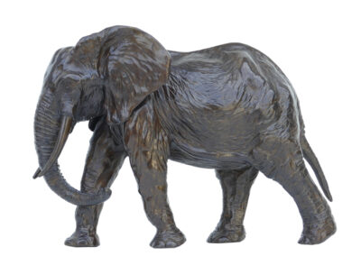Cinquième éléphant d’Afrique