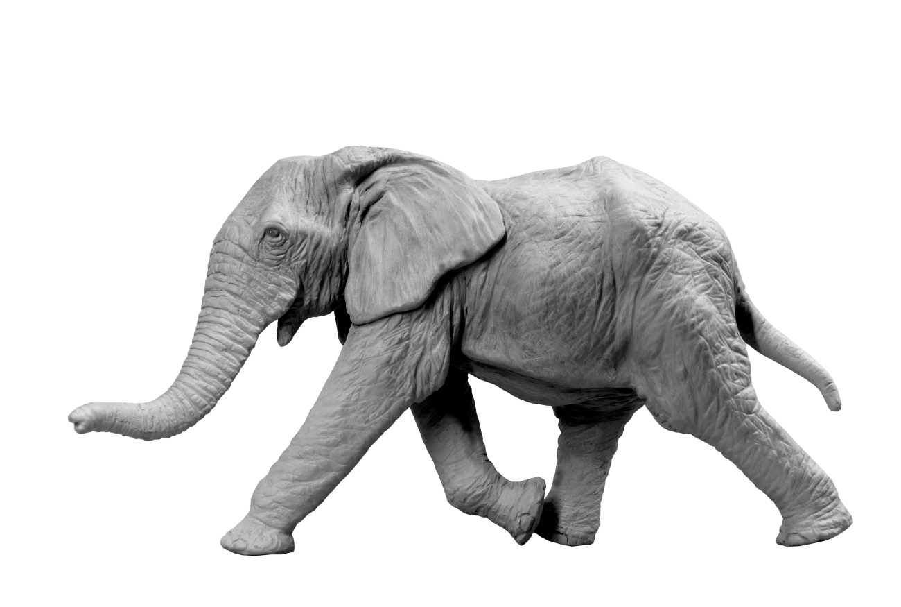 Eléphanteau-d'Afrique-chargeant-vue-00 Sculpture terre hippopotame petit