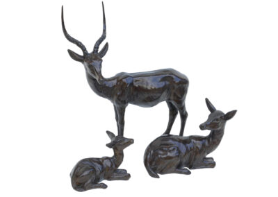 Famille d&rsquo;impalas