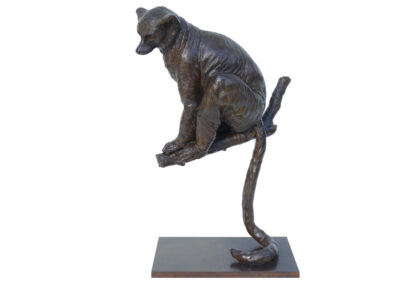 Lémurien dans l&rsquo;arbre