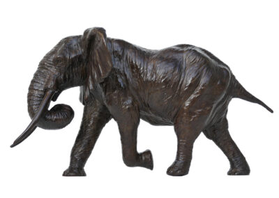 Eléphant d&rsquo;Afrique chargeant trompe enroulée