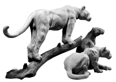 Trois panthères à l&rsquo;affut (Projet)