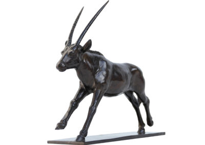 Oryx fuyant les fauves