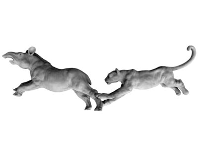 Jaguar poursuivant un tapir (Projet)