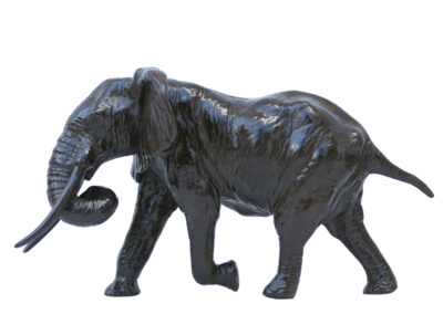 Réduction – Eléphant d&rsquo;Afrique chargeant trompe enroulée