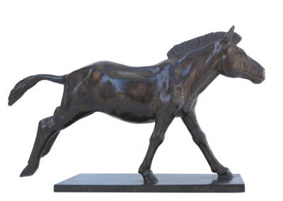 Zèbre au galop (antérieurs au sol)