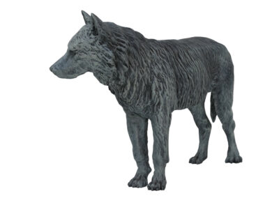 Grand loup